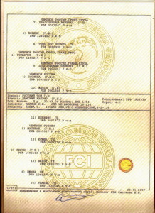 Родословная